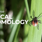 Medical Entomology